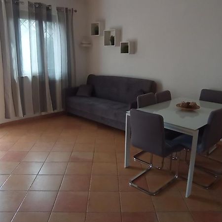 הוילה פיומיצ'ינו Da Vinci House מראה חיצוני תמונה